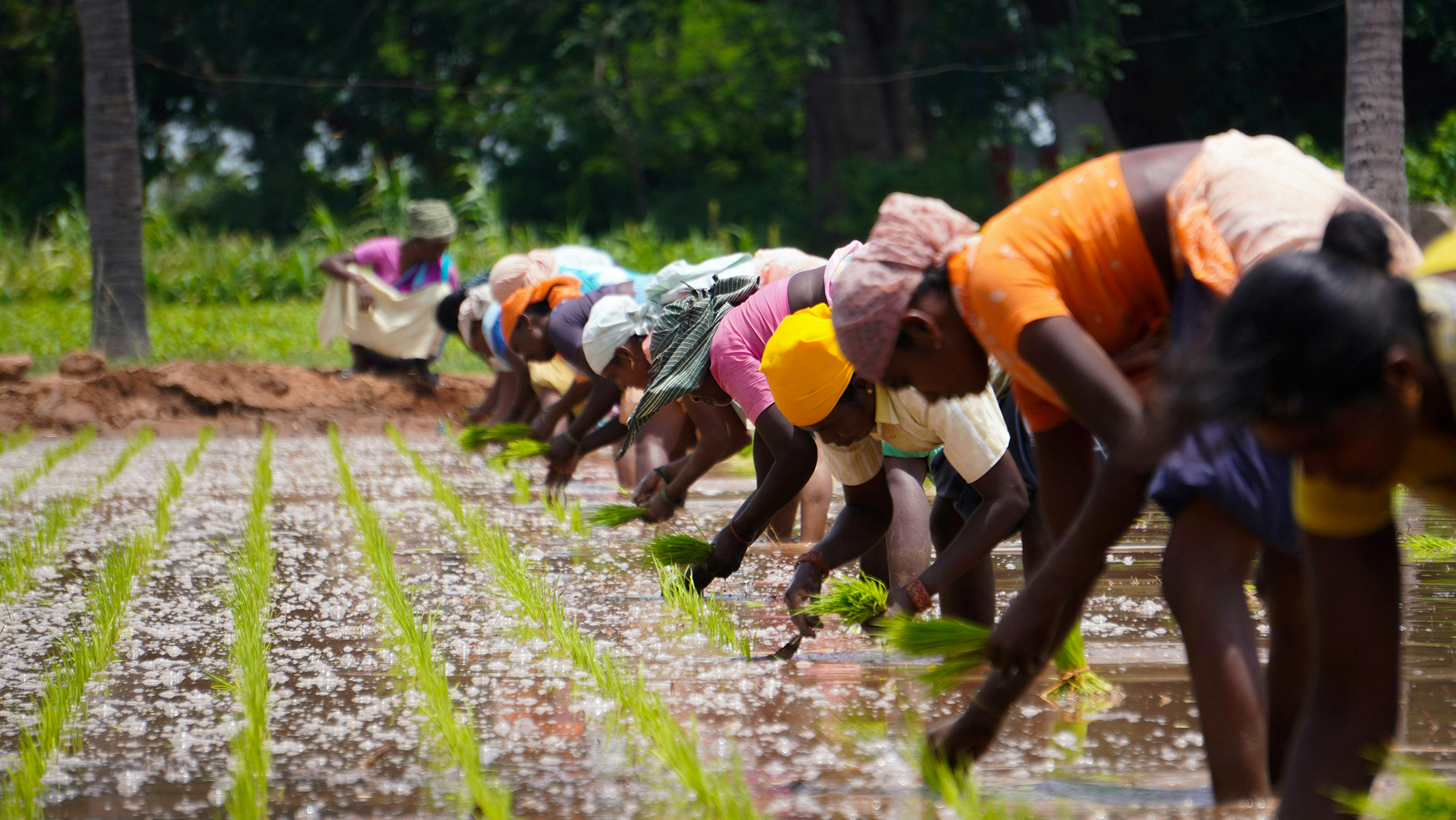 Faire rayonner les cultures de Côte d’Ivoire