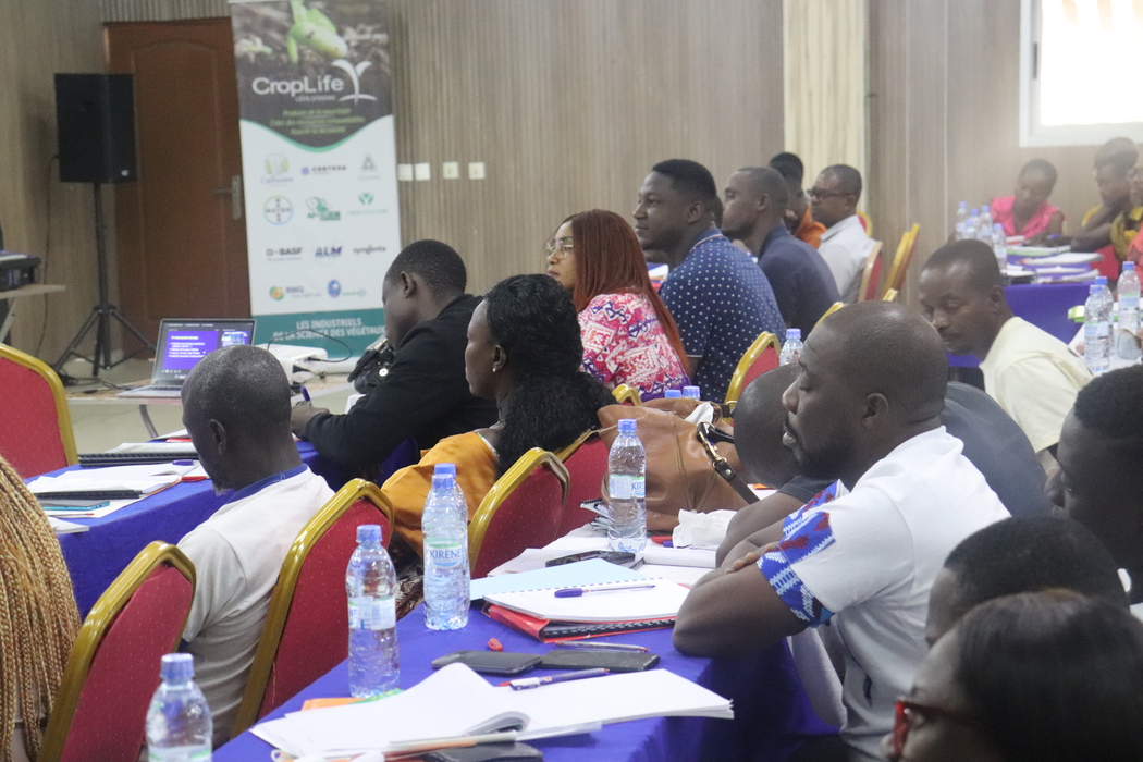 RAP Session Mai 2024-19